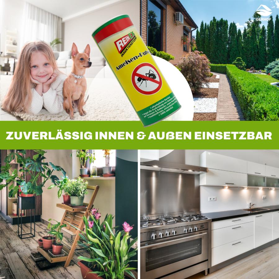 Reinex 250g, Ameisenpulver, Ameisenmittel, Ameisen Streumittel, Mittel gegen Insekten, zum Streuen und Gießen Ameisenstopp, Ameisenköder für den Innen und Außenbereich geeignet